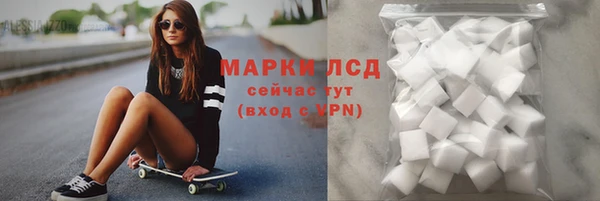 a pvp Алзамай