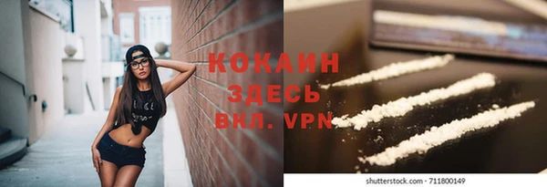 твердый Алексеевка