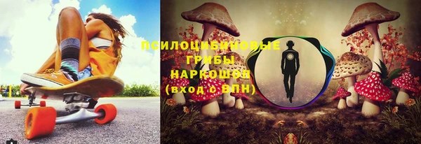 твердый Алексеевка