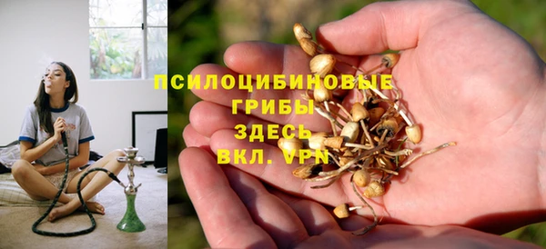 a pvp Алзамай