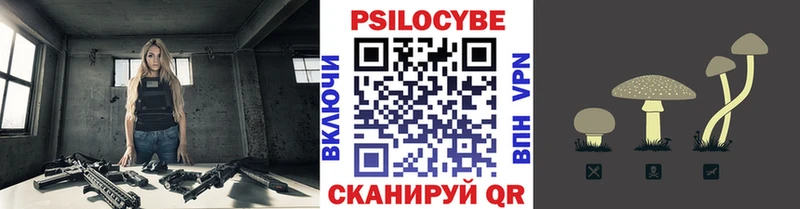 kraken как войти  Копейск  Псилоцибиновые грибы мухоморы 