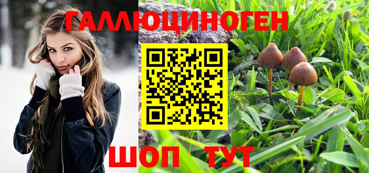 Копейск  Галлюциногенные грибы Cubensis  дарнет шоп  Галлюциногенные грибы Magic Shrooms  Вход с VPN 